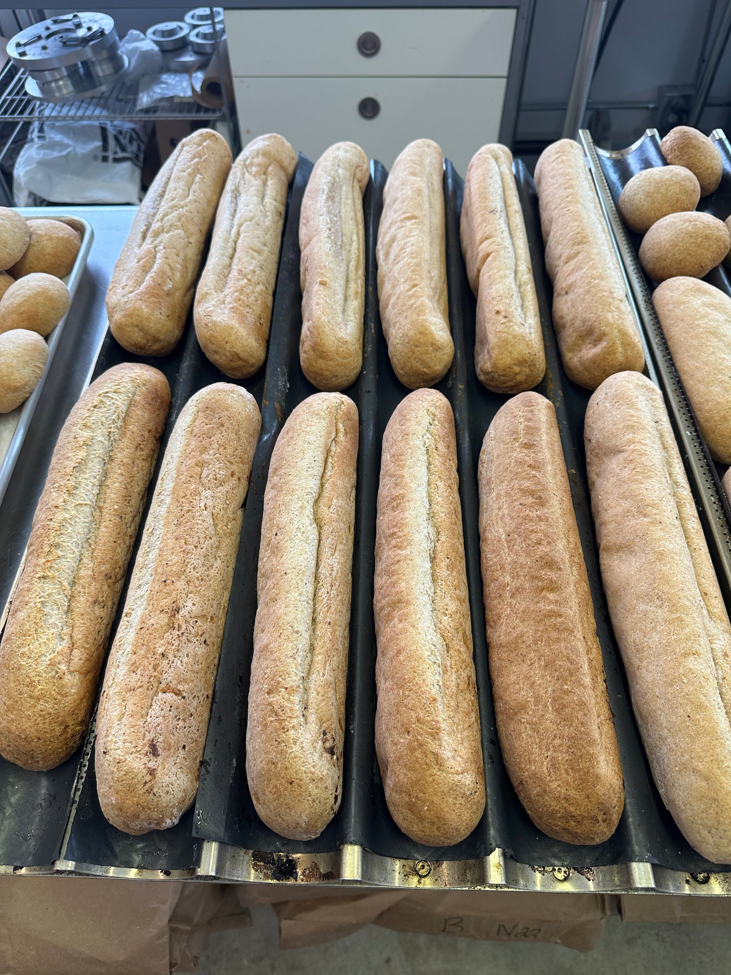 Hoagies 12“ - vegan (6) - By Order Only