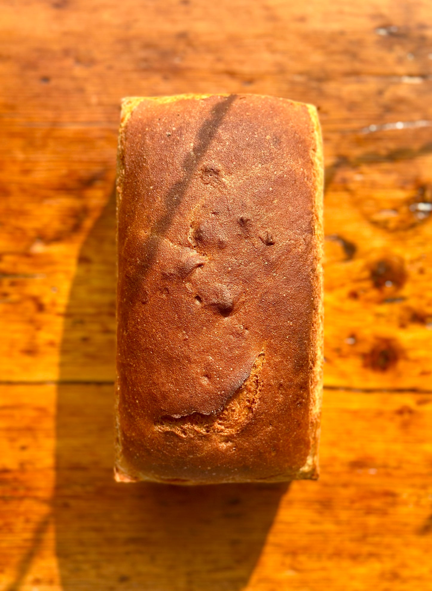 Pain de mie blanc