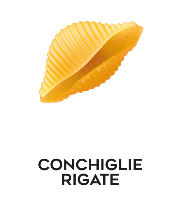 Conchiglie Rigate pasta shape by Massimo Zero