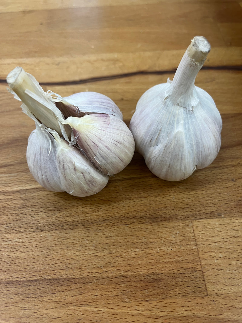 Garlic bulb from Mennonite Farm