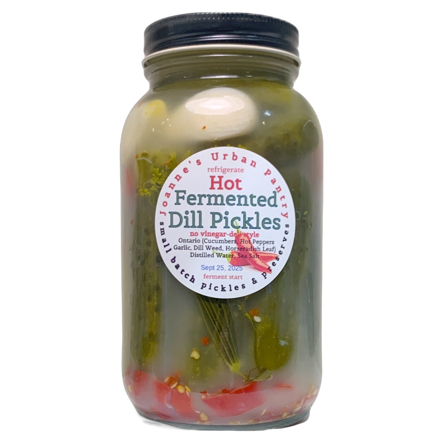 Hot Fermented Dill Pickles By Joanne's Urban Pantry