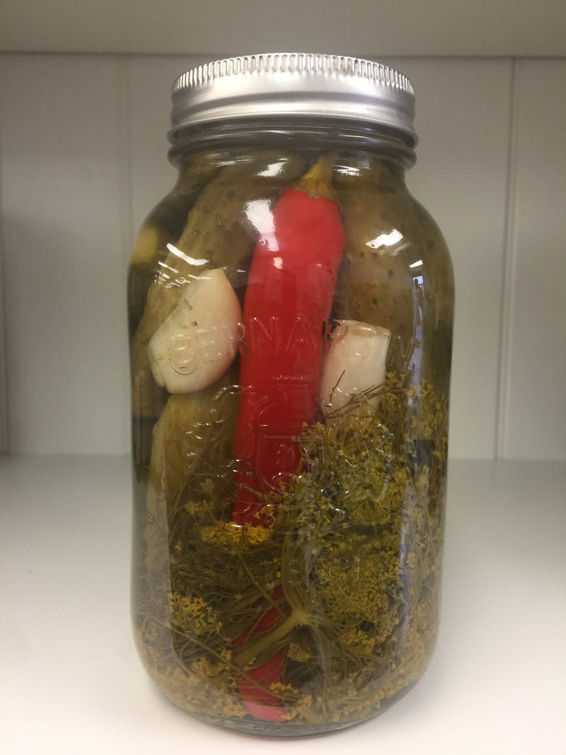 Hot Garlic Dills Pickles 1Ltr